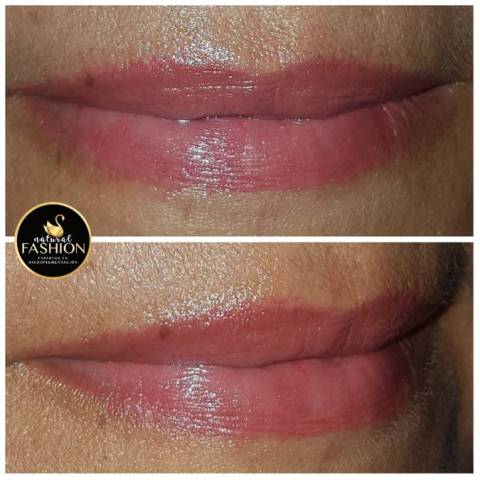 labios full color rosa